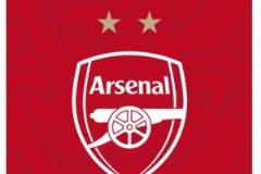 阿森納女足問鼎歐冠，社媒頭像更新彰顯榮譽
