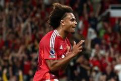 齊爾克澤慶祝動作致敬《被解放的姜戈》，與巴蒂無關