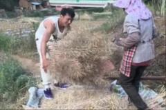 矣進宏干農(nóng)活：堅持到底，只為當(dāng)初的選擇