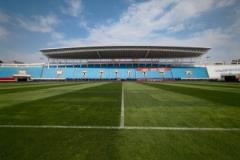 亞泰主場草坪煥新，綠意盎然引人駐足